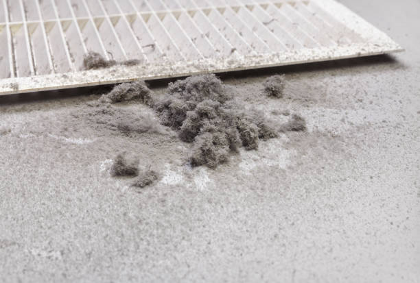 Professional Airduct Cleaning in The Homesteads, TX