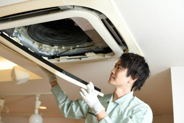 Best Affordable Air Duct Cleaning  in The Homesteads, TX