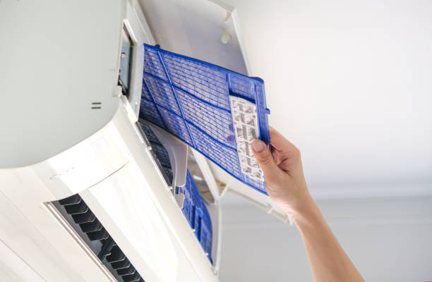 Best Affordable Duct Cleaning Services  in The Homesteads, TX