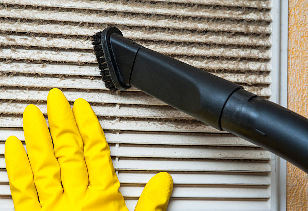 Best Local Air Duct Cleaning Services  in The Homesteads, TX